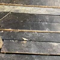Video Julia