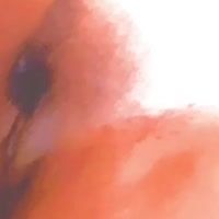 Video Saory Exotic Analsex