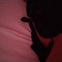 Video Celeste