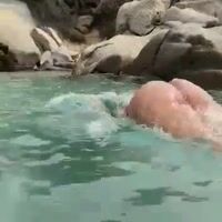 Video Ilary