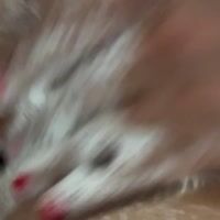 Video Chrystin Berghem