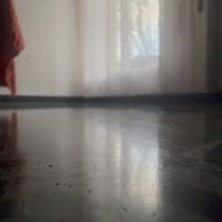 Video TS Carolina