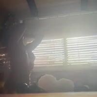 Video TS Carolina