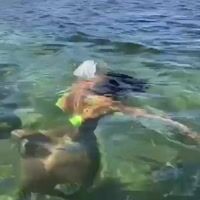 Video Beatryce