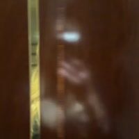 Video Angelina High Class